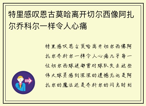 特里感叹恩古莫哈离开切尔西像阿扎尔乔科尔一样令人心痛