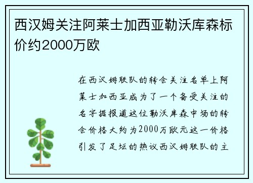 西汉姆关注阿莱士加西亚勒沃库森标价约2000万欧
